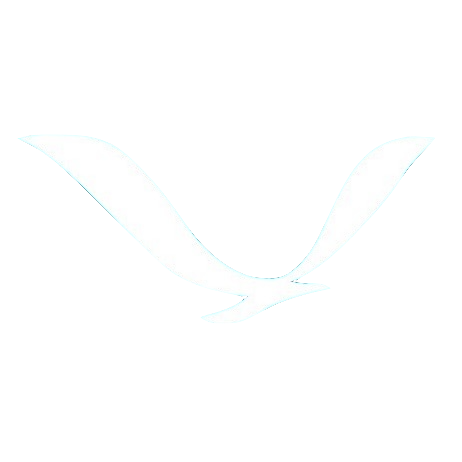 心空艺术 · Cosky.Art